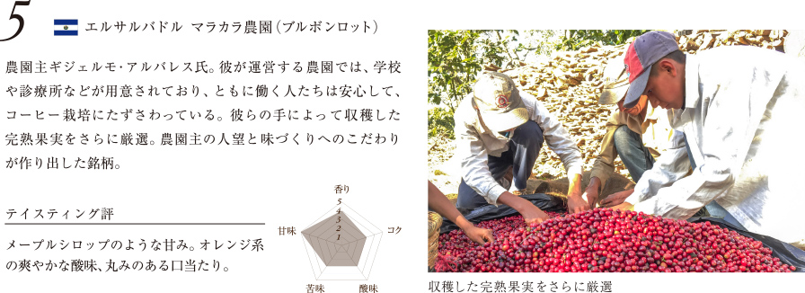 人気のコレクション 岩手県で人気の五枚橋ワインさてに入る果物は 最優秀ピクチャーゲーム